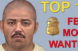 Image result for Top 10 Most Wanted Criminals in the World