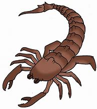 Image result for Cartoon Scorpion