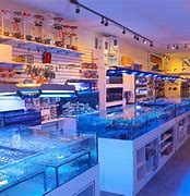 Image result for Tropical Fish Stores Near Me