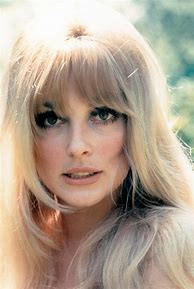 Image result for Sharon Tate Interview