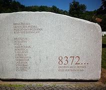 Image result for Bosnian War Genocide