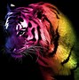 Image result for Cool Tiger Wallpapers Neon