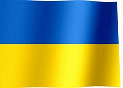 Image result for Ukraine Rebels Flag