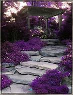 Image result for purple flower landscape
