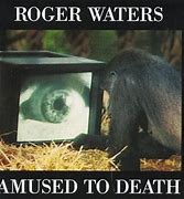 Image result for Roger Waters Stone Meme