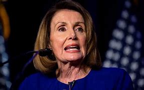 Image result for Pelosi Has an Estate Wall