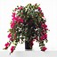 Image result for Silk Floral Arrangements
