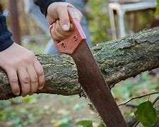 Image result for Power Saws for Cutting Trees