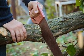 Image result for Best Folding Pruning Hand Saws