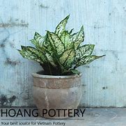 Image result for Rustic Clay Pots