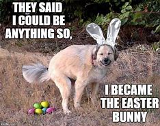 Image result for Easter Dog Jokes