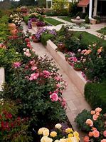 Image result for Rose Garden Designs for Small Yard