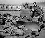 Image result for My Lai Massacre Fire