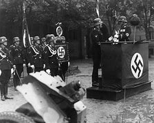 Image result for WW2 Waffen SS Uniform