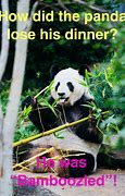 Image result for Panda Bear Jokes Funniest