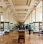 Image result for Famous Museums