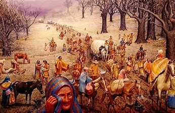 Image result for andrew jackson Indian removal