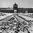 Image result for Movies About Auschwitz Death Camp