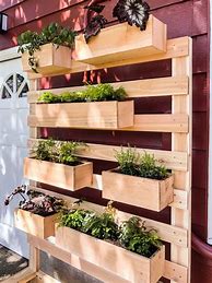 Image result for DIY Vertical Garden Ideas