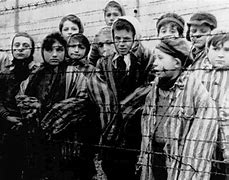 Image result for The Final Solution WW2