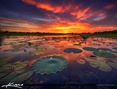 Image result for Lake Kissimmee