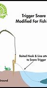 Image result for Fish Snare