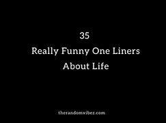 Image result for Funny One Liners About Life