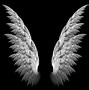 Image result for Fallen Angel Wings