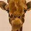 Image result for Beautiful Giraffe Art