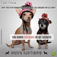 Image result for Birthday Funny Wishes for a Friend Who Is Senior