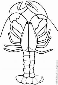 Image result for Lobster Outline to Print