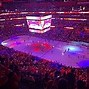 Image result for Florida Panthers NHL Mascot