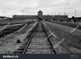 Image result for Scenes From Auschwitz