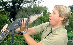 Image result for Australia Zoo Steve Irwin