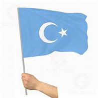 Image result for Dogu Turkistan Bayrak