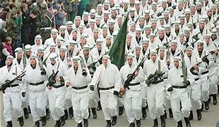 Image result for Weapons of Bosnian Army