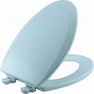 Image result for Lowes Toilet Seats Elongated
