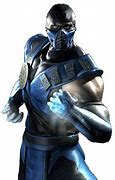 Image result for Sub-Zero Video Game