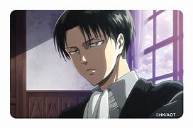 Image result for Levi 500 X 500