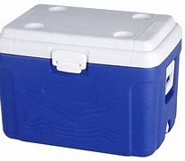 Image result for Commercial Ice Chest Cooler