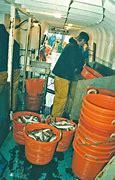Image result for Cod Trawler
