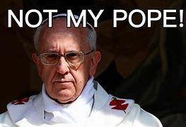 Image result for pope francis not so nice pictures