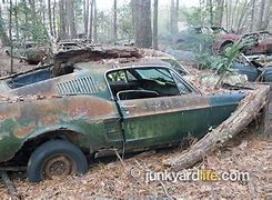 Image result for Texas Junk Yards Classic Cars