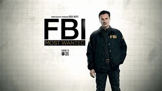 Image result for FBI Most Wanted TV Episodes