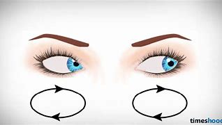 Image result for Eye Care Cartoon