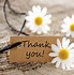 Image result for Thank You Daisy