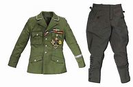 Image result for Heydrich Uniform