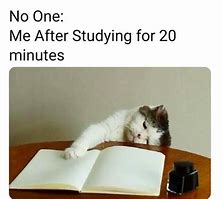 Image result for Funny Study Jokes