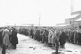 Image result for British Concentration Camps