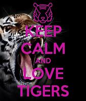 Image result for Keep Calm and Love Tigers